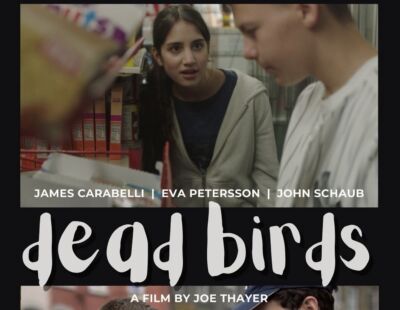 Dead Birds Poster