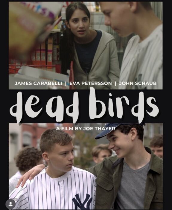 Dead Birds Poster